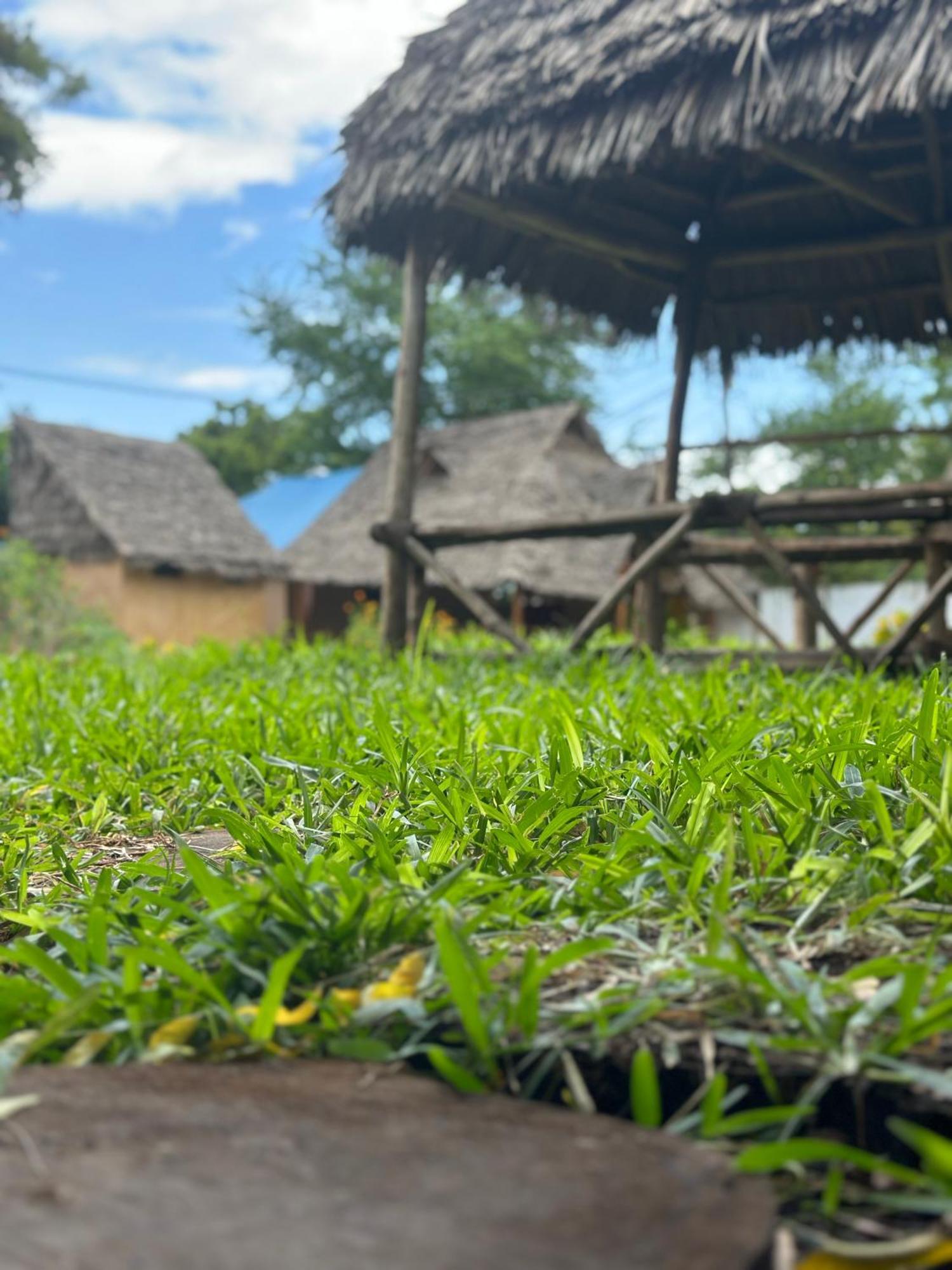 فندق Zanzigo نونغوي المظهر الخارجي الصورة